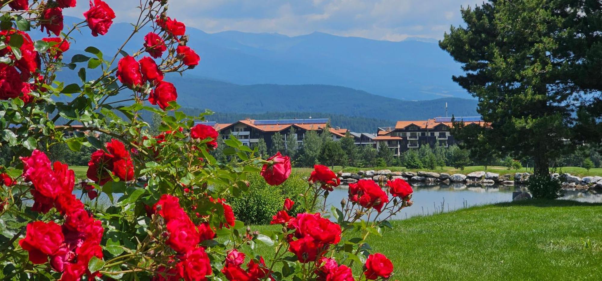 Green Peaks Suite In Pirin Golf & County Club Razlog Luaran gambar