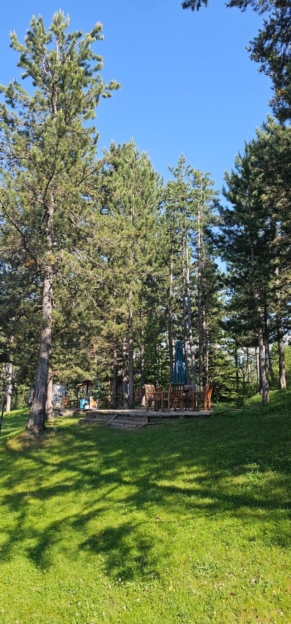 Green Peaks Suite In Pirin Golf & County Club Razlog Bilik gambar